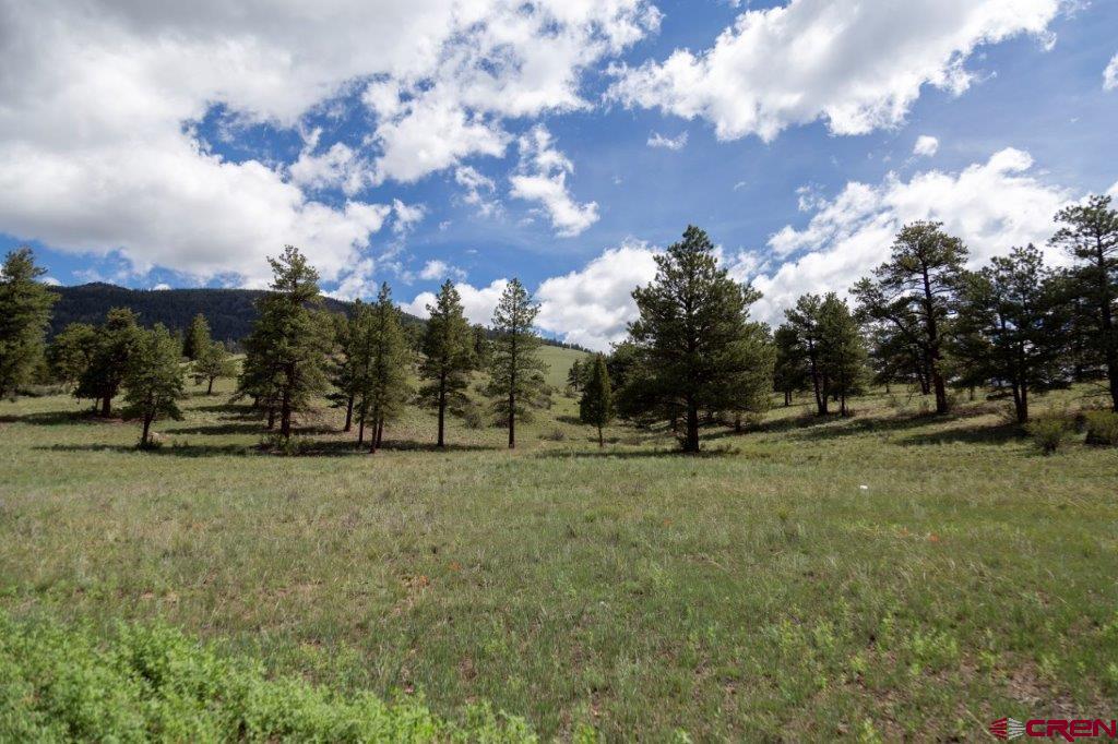 475 Cliff View Drive Property Photo 3