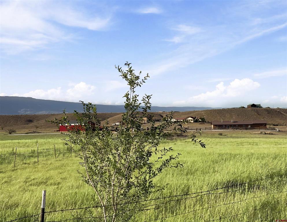 12520 Pendleton Lane Property Photo 41