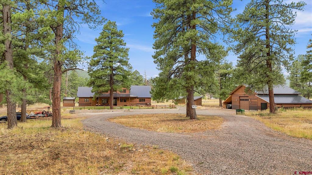 7177 County Road 501 Property Photo 3