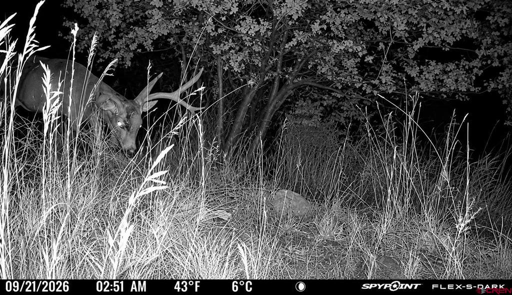 Tbd Cr 501 Property Photo 10