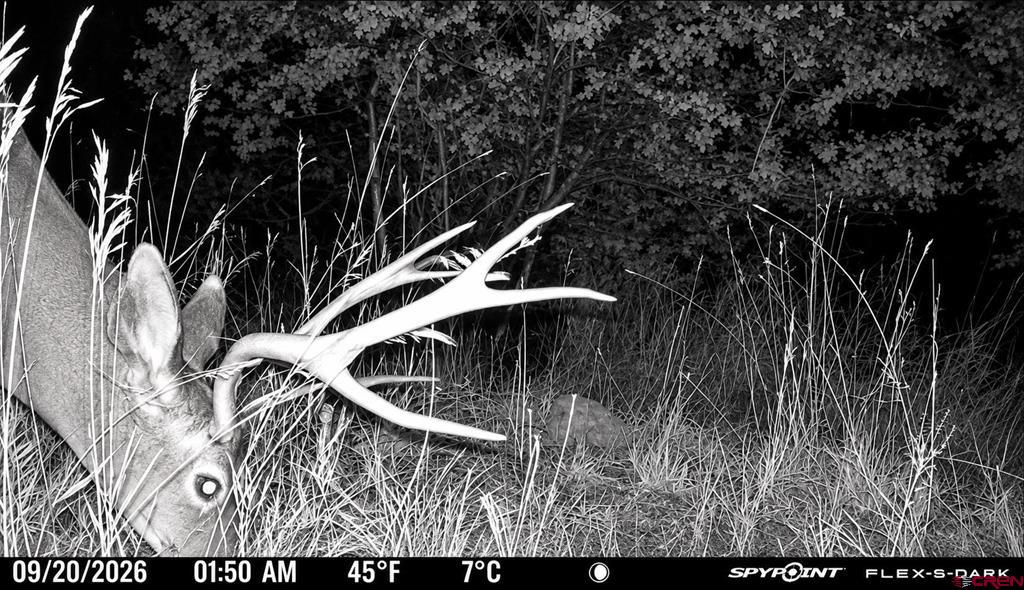 Tbd Cr 501 Property Photo 11