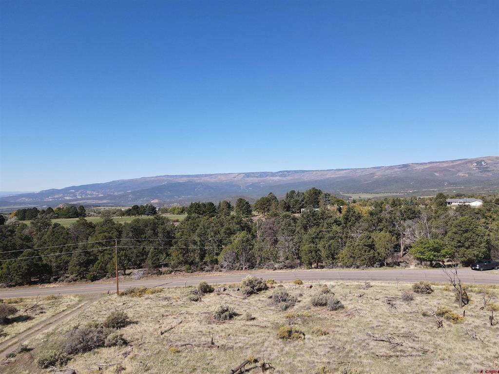 19296 Surface Creek Road Property Photo 4