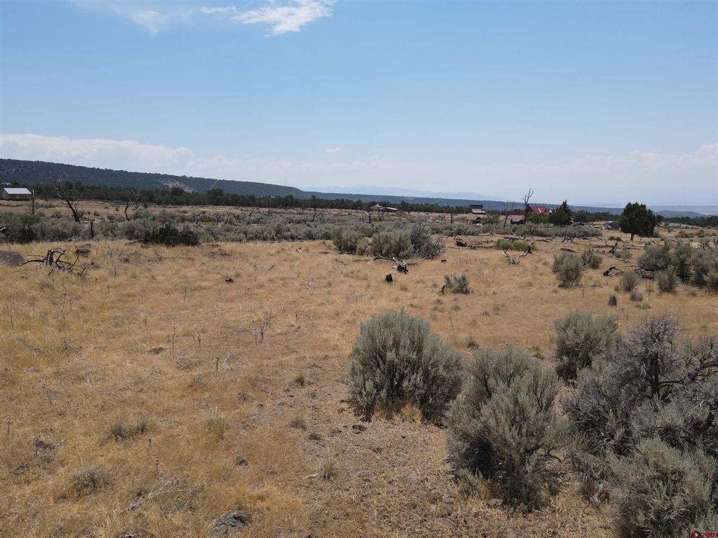 19296 Surface Creek Road Property Photo 6