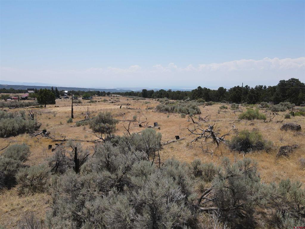 19296 Surface Creek Road Property Photo 7