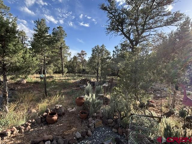 24888 Timothy Road Property Photo 22