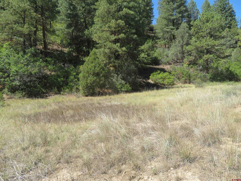 245 Mountain Rd Property Photo 4
