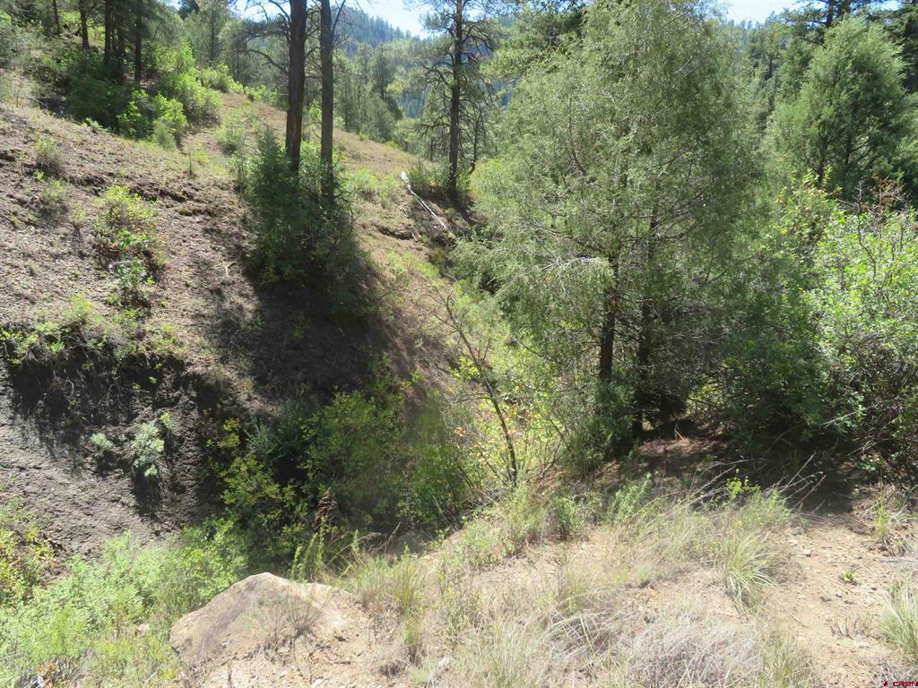 245 Mountain Rd Property Photo 27