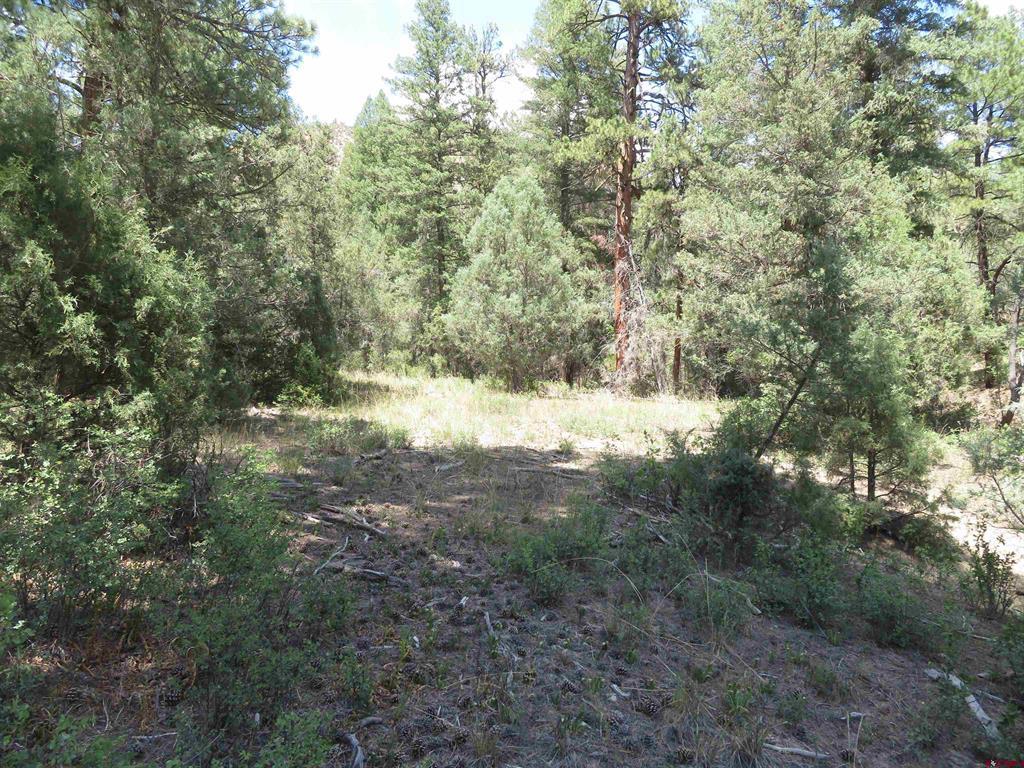 245 Mountain Rd Property Photo 31