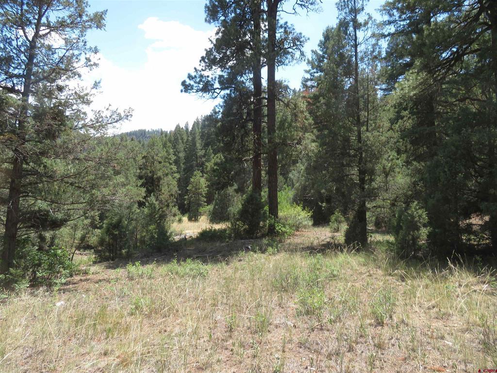 245 Mountain Rd Property Photo 32