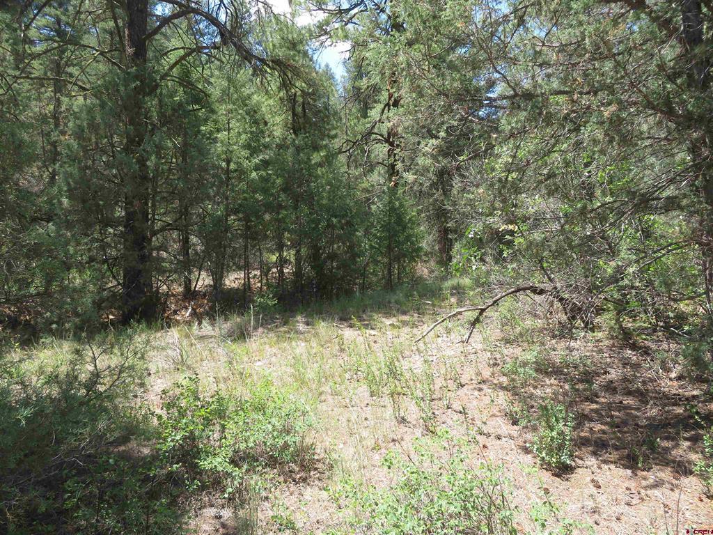 245 Mountain Rd Property Photo 33