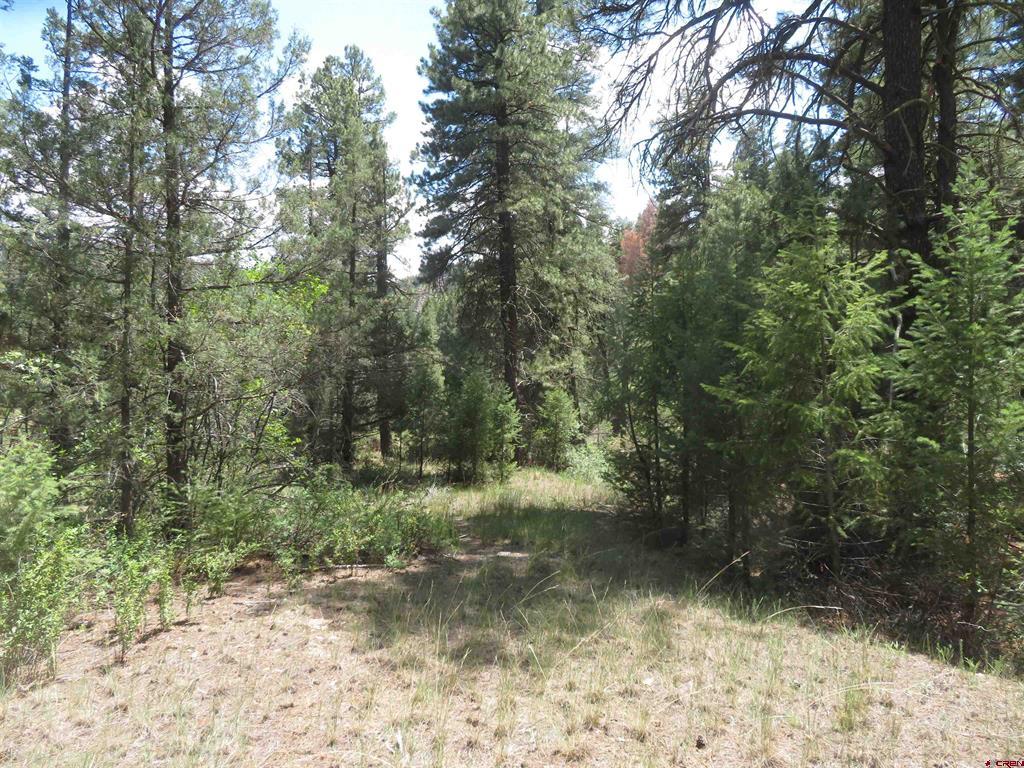 245 Mountain Rd Property Photo 34