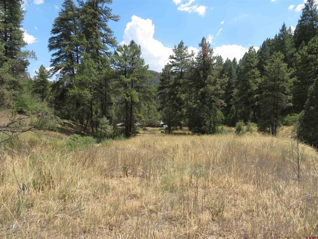 245 Mountain Rd Property Photo 38