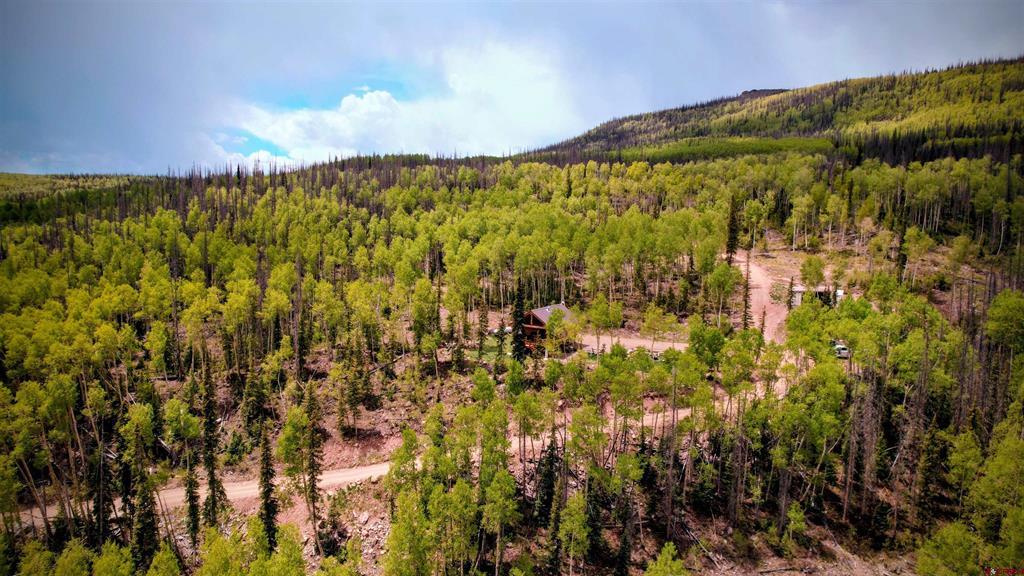 5565 Forest Rd 504 Road Property Photo 1