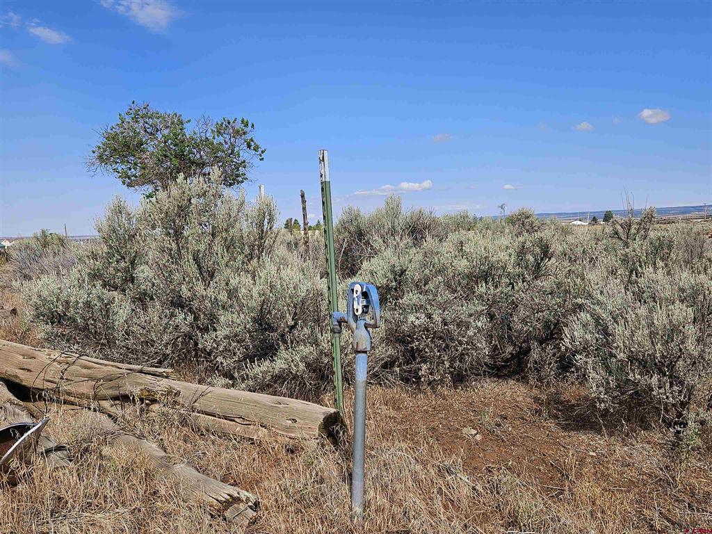 159 Adobe House Road Property Photo 3