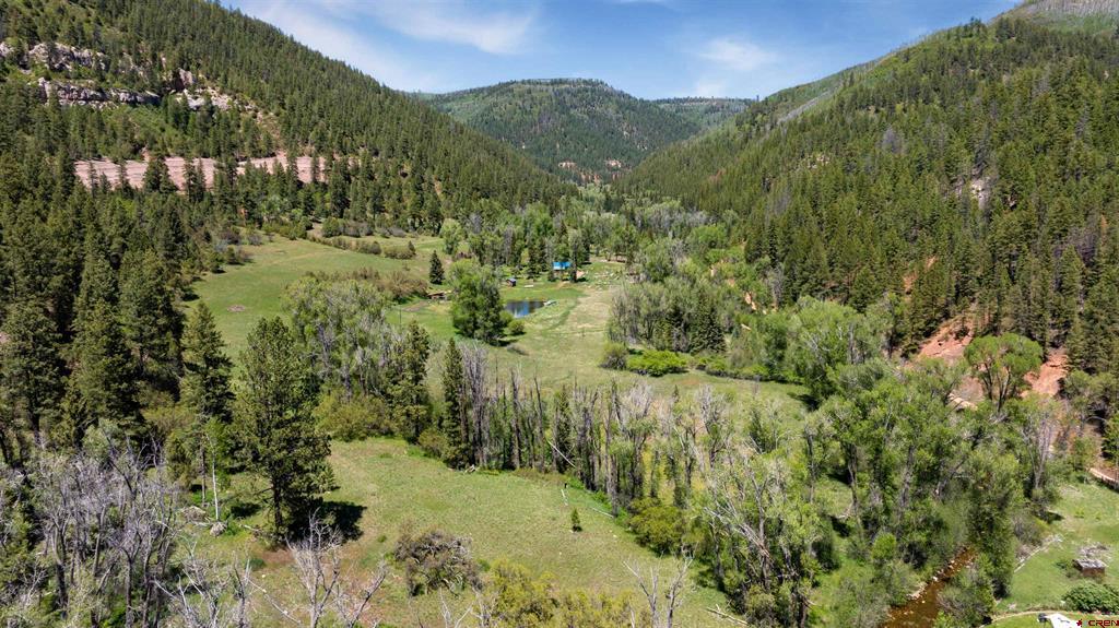 Tbd Road 40 Property Photo 4
