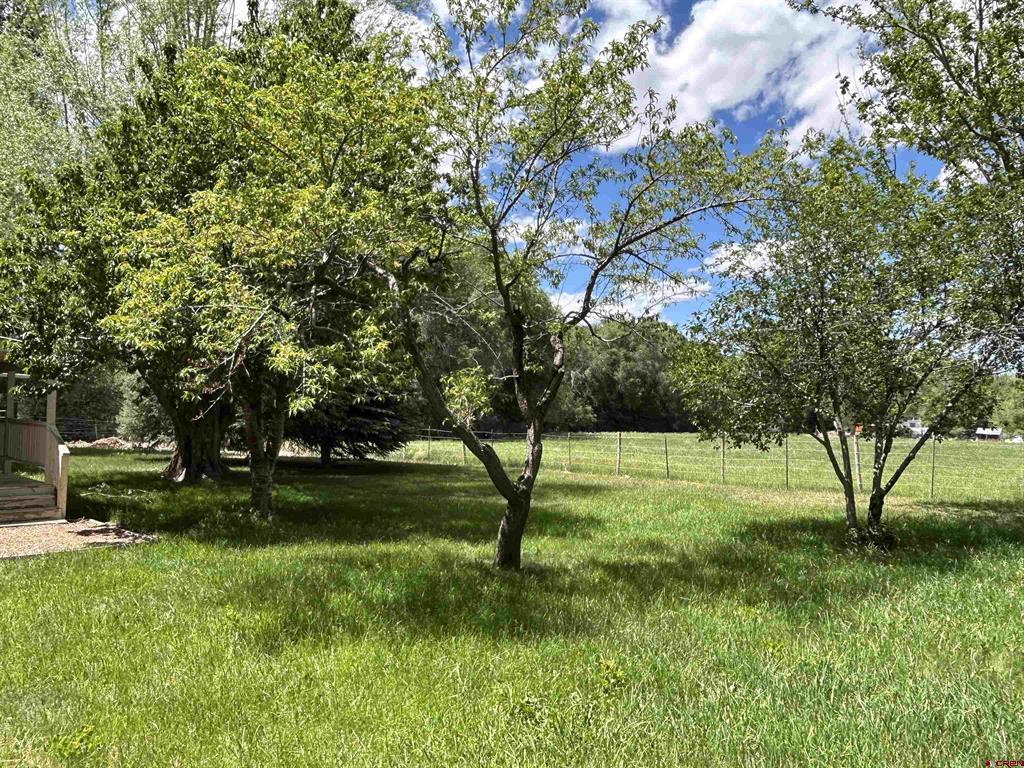 2259 1600 Road Property Photo 25