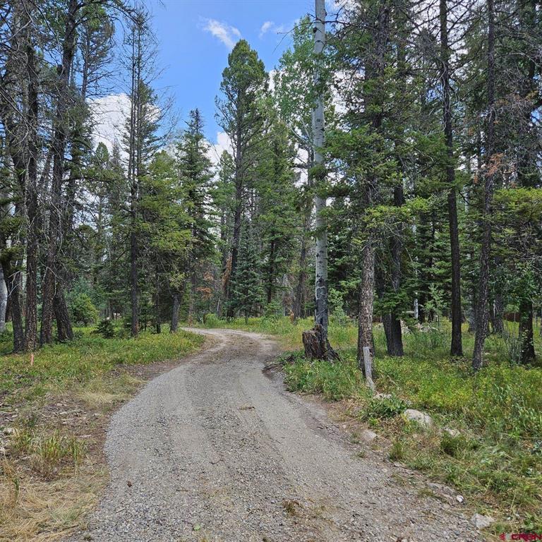 764 Deer Trail Property Photo 1