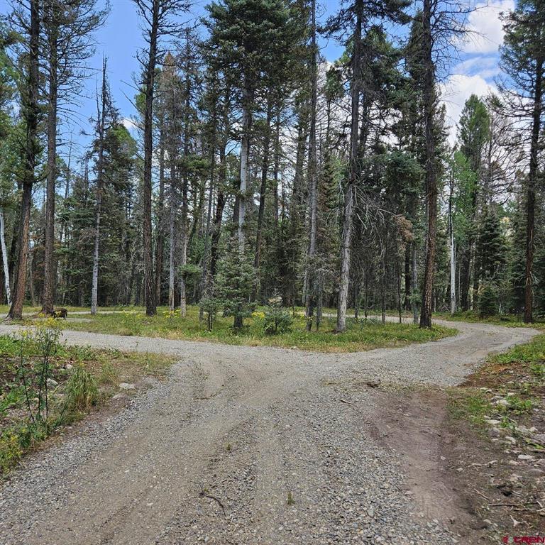 764 Deer Trail Property Photo 2