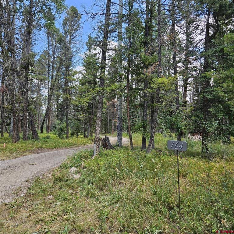 764 Deer Trail Property Photo 3