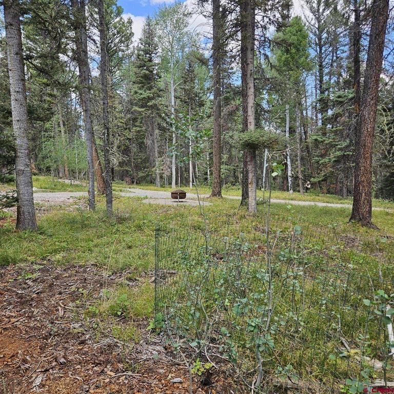 764 Deer Trail Property Photo 4