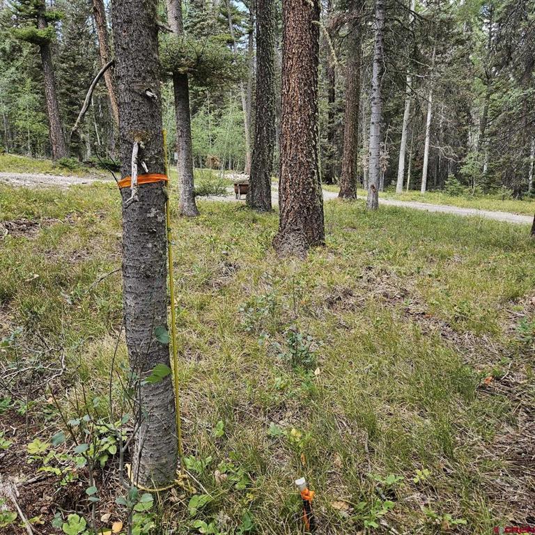 764 Deer Trail Property Photo 5
