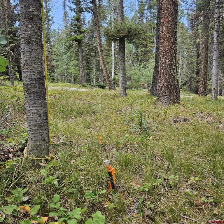 764 Deer Trail Property Photo 6