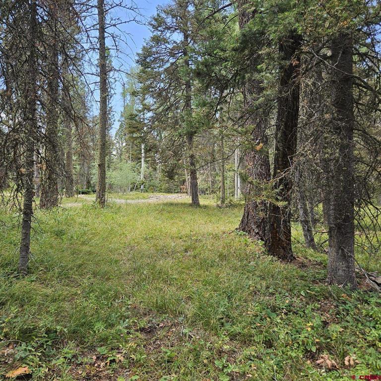 764 Deer Trail Property Photo 7