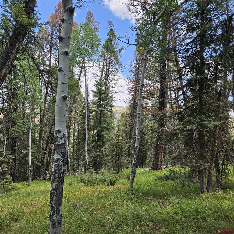 764 Deer Trail Property Photo 8