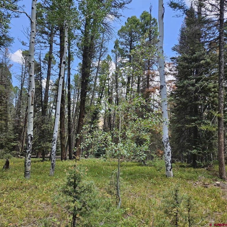 764 Deer Trail Property Photo 9