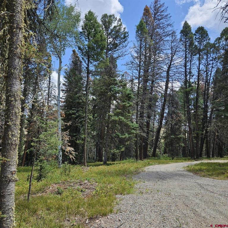 764 Deer Trail Property Photo 10