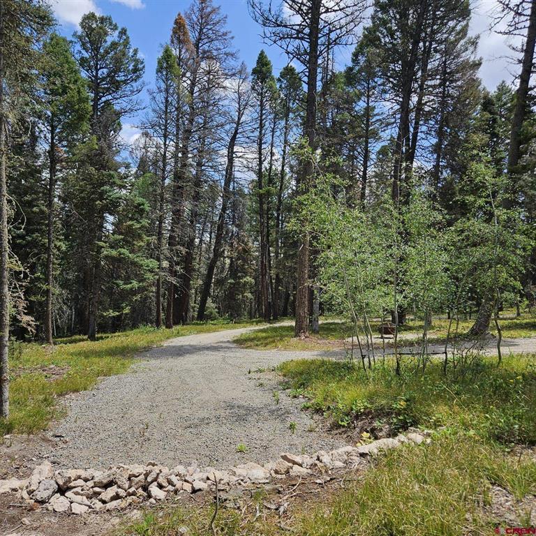 764 Deer Trail Property Photo 11
