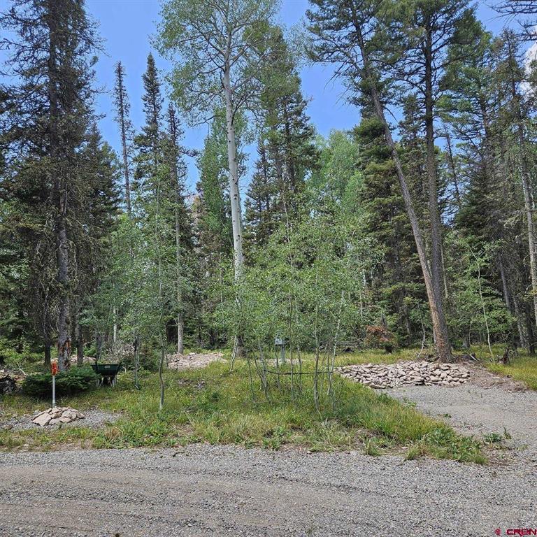 764 Deer Trail Property Photo 14