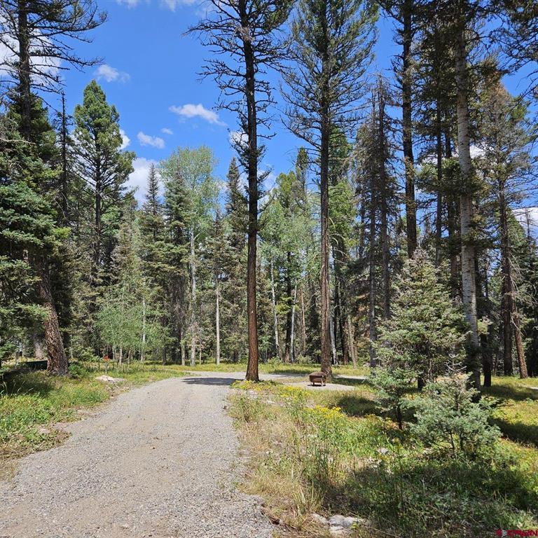 764 Deer Trail Property Photo 17