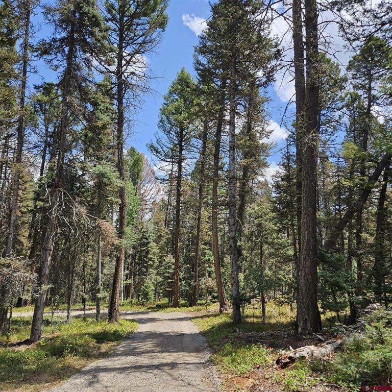 764 Deer Trail Property Photo 18