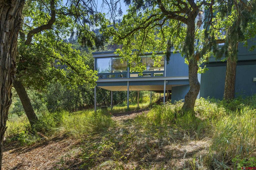 6642 County Road 250 Property Photo 3