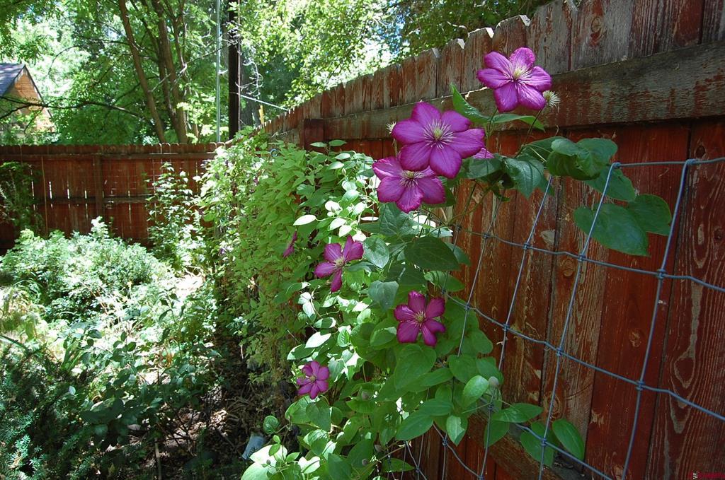 122 Alamo Drive Property Photo 30