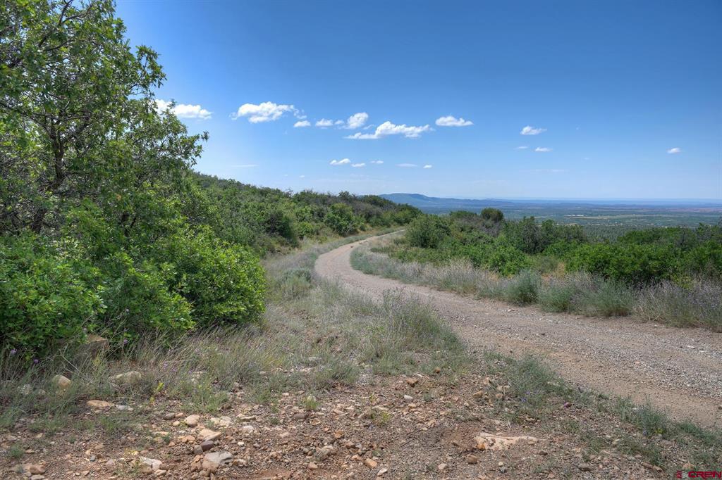 837361 Property Photo 5