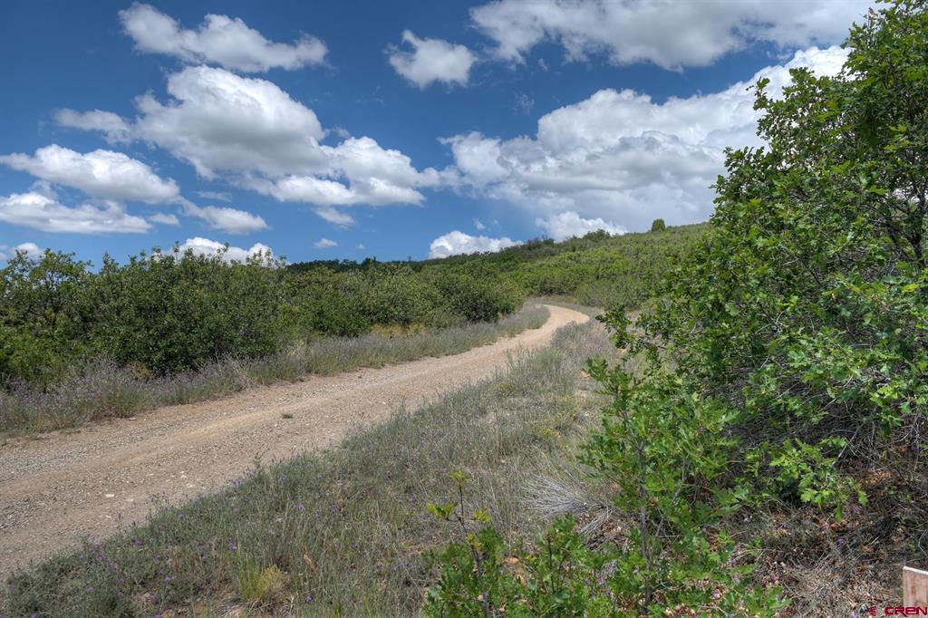 837361 Property Photo 6
