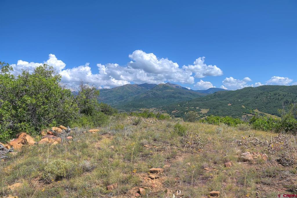 837361 Property Photo 17