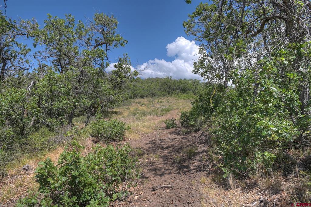 837361 Property Photo 18