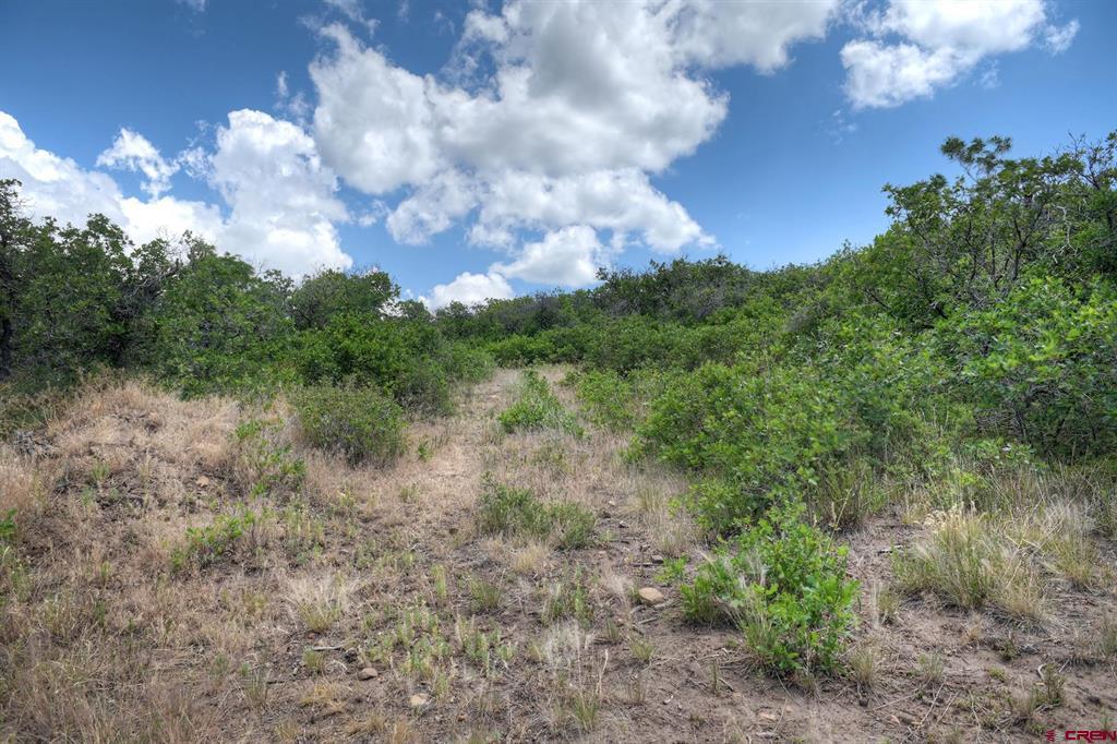 837361 Property Photo 19