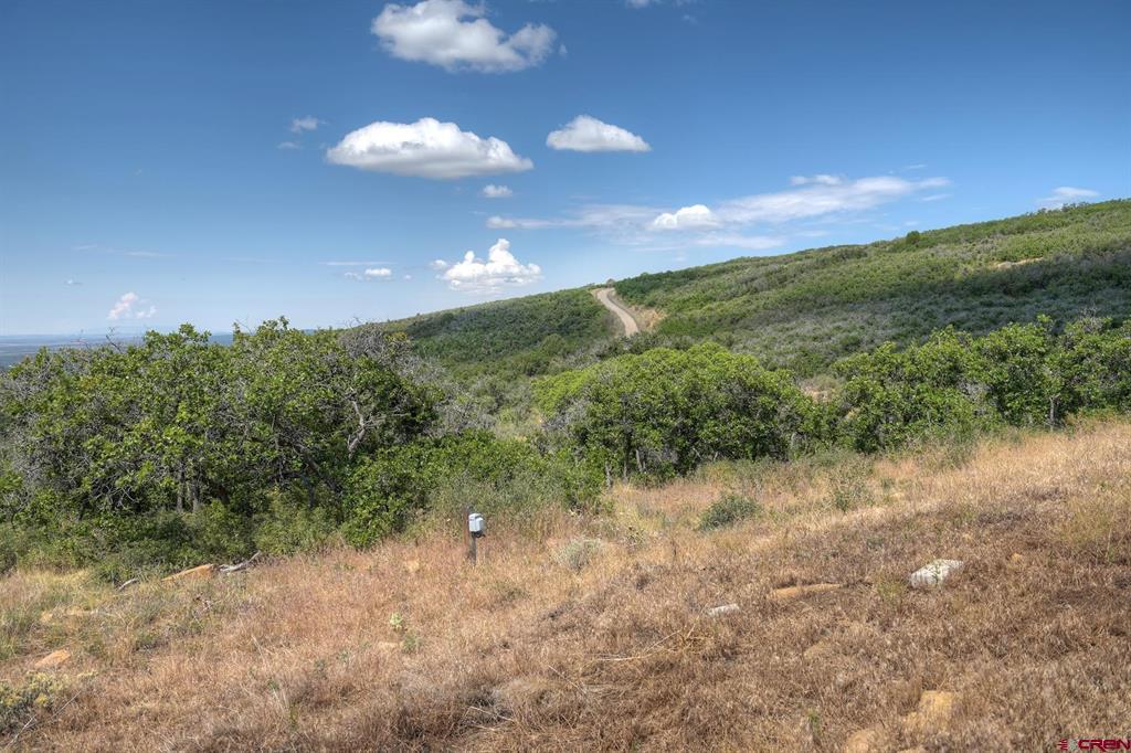 837361 Property Photo 23