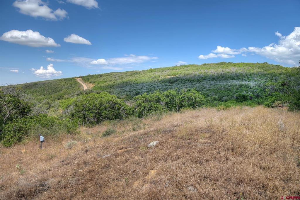 837361 Property Photo 24