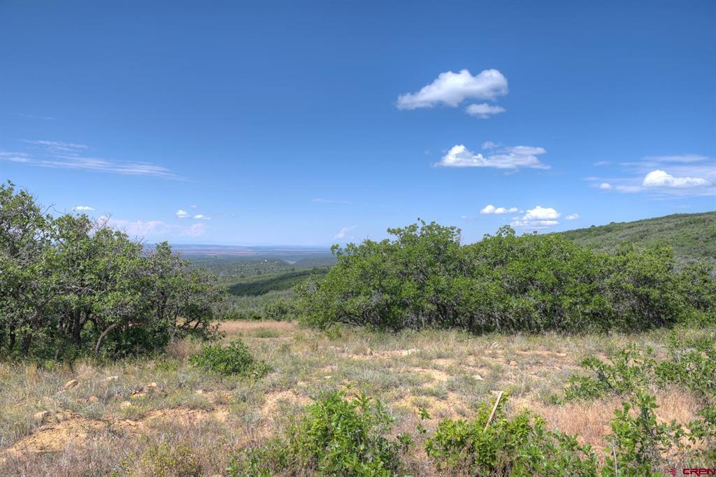 837361 Property Photo 25