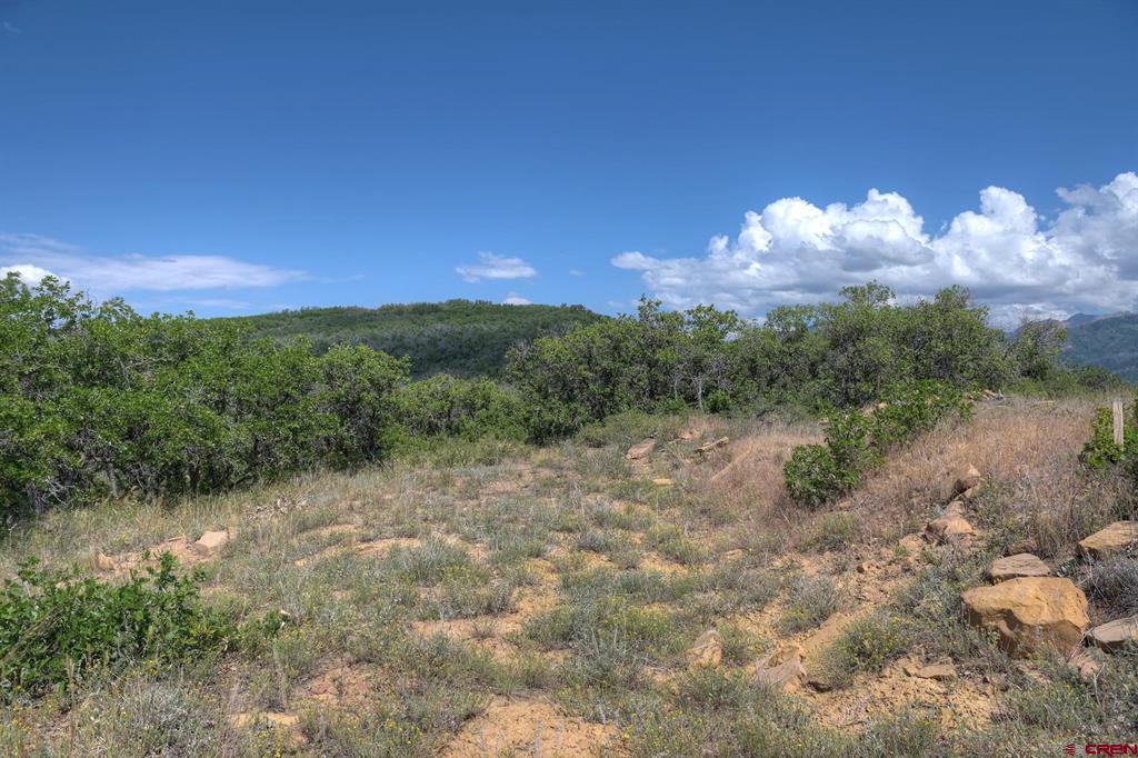 837361 Property Photo 28