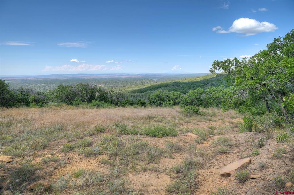 837361 Property Photo 30