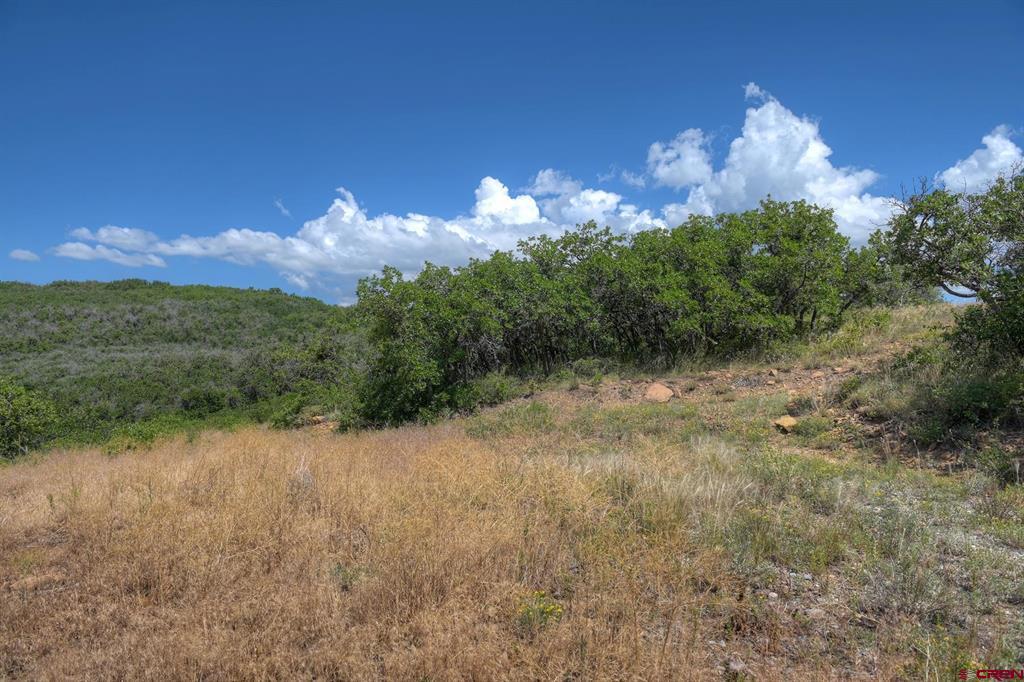837361 Property Photo 32