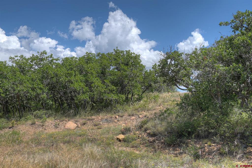 837361 Property Photo 33