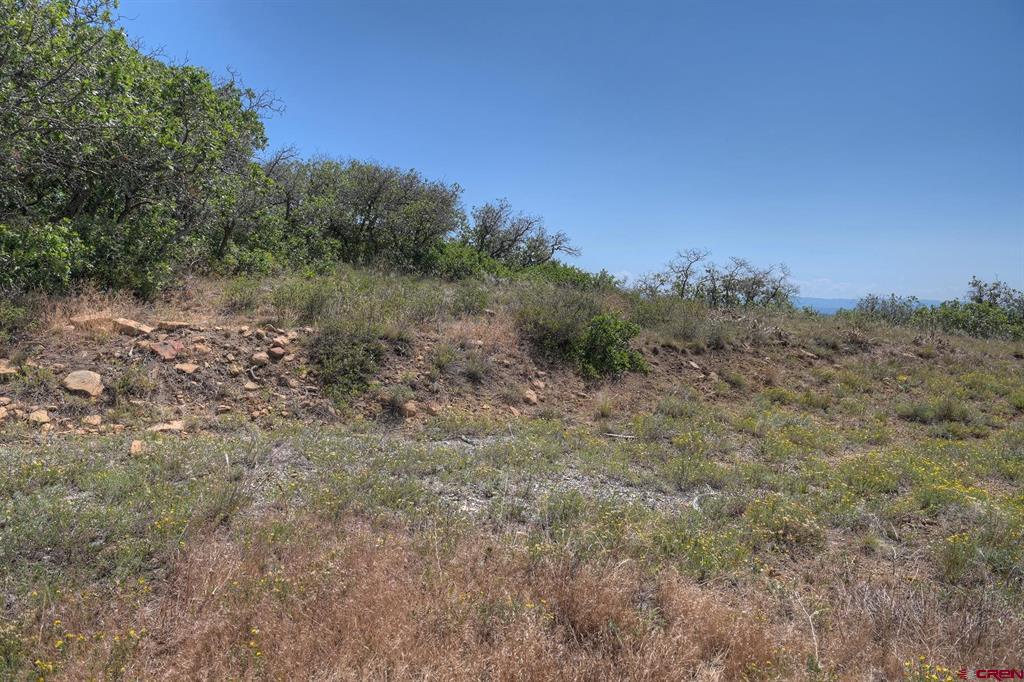 837361 Property Photo 34
