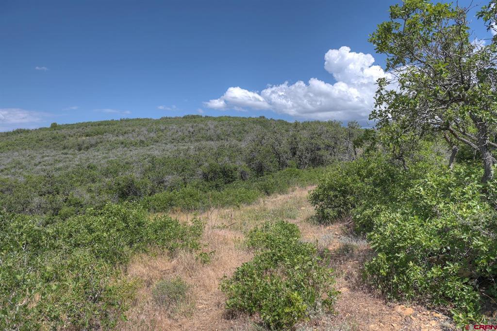 837361 Property Photo 35